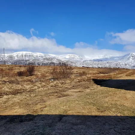 Vithines * Reykjavik